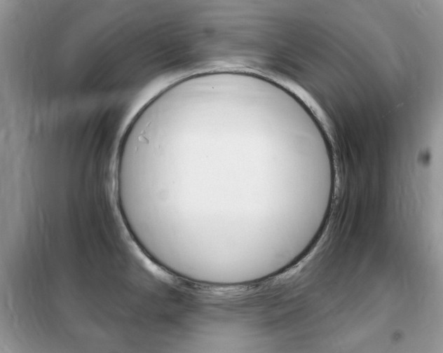 X0000102341294200808010904