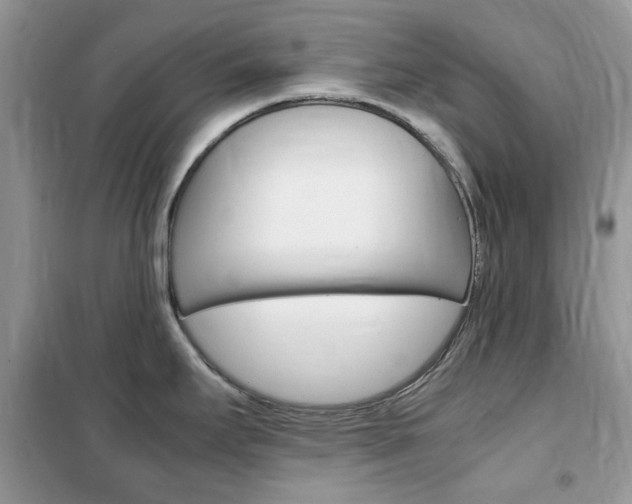 X0000102341295200808010904