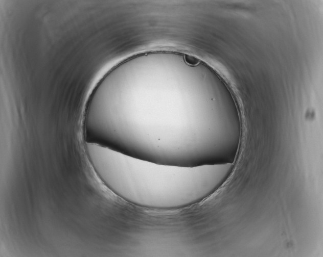 X0000102341296200808010904