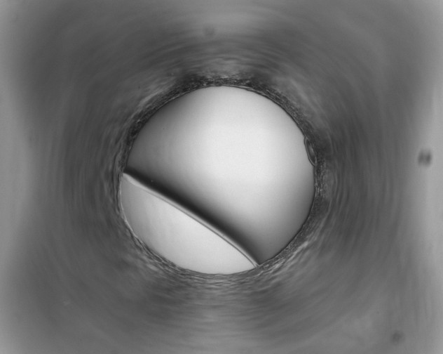 X0000102341297200808010903
