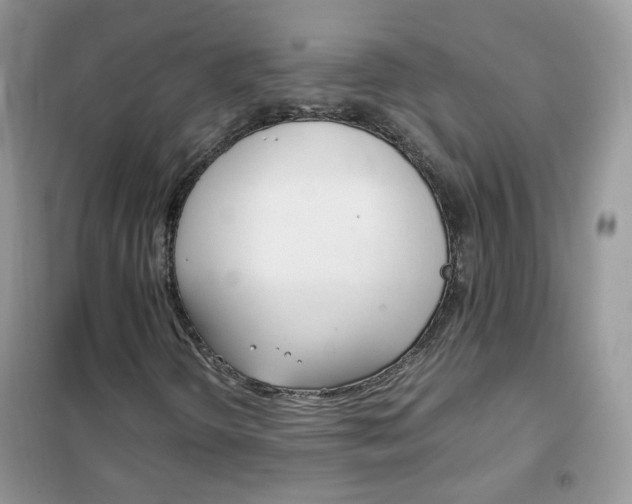 X0000102341298200808010903