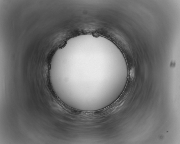 X0000102341299200808010903