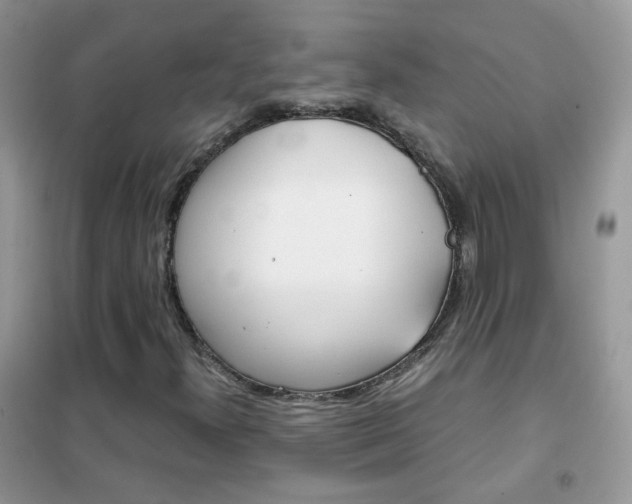 X0000102341300200808010903