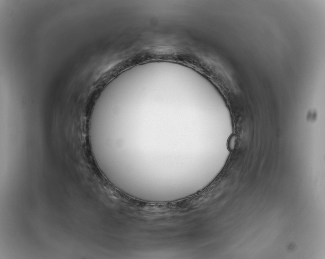 X0000102341301200808010903