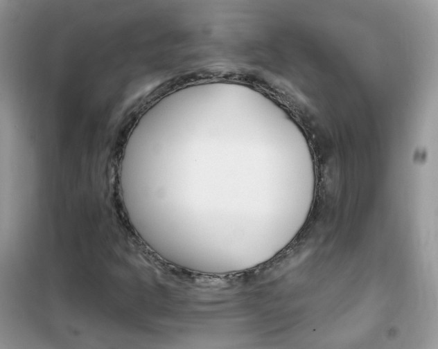 X0000102341302200808010903