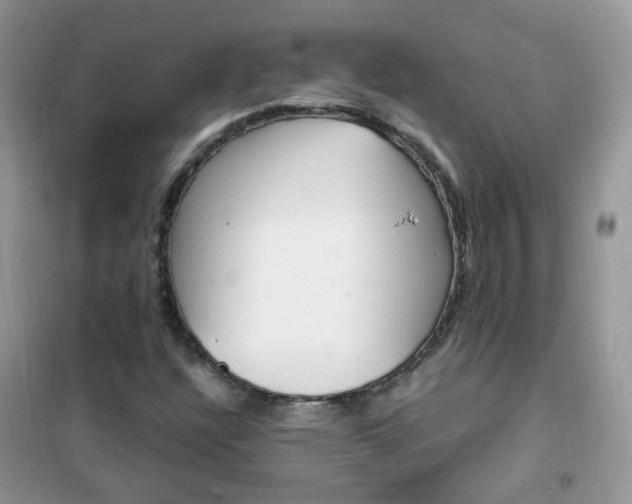 X0000102341304200808010903
