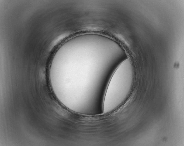X0000102341307200808010903