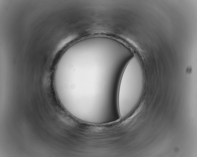 X0000102341309200808010903