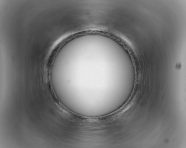 X0000102341310200808010903