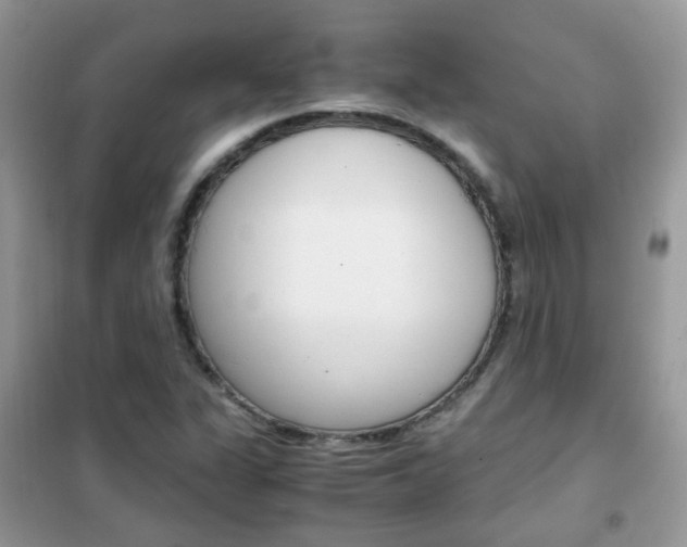 X0000102341311200808010903