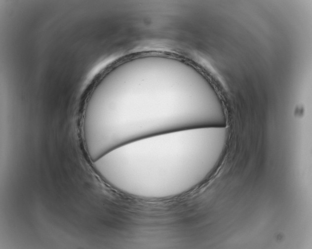 X0000102341312200808010903