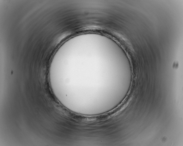 X0000102341313200808010903