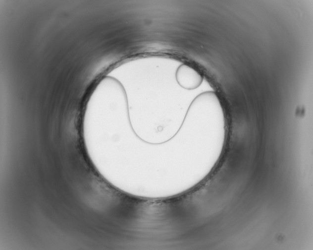 X0000102341314200808010903