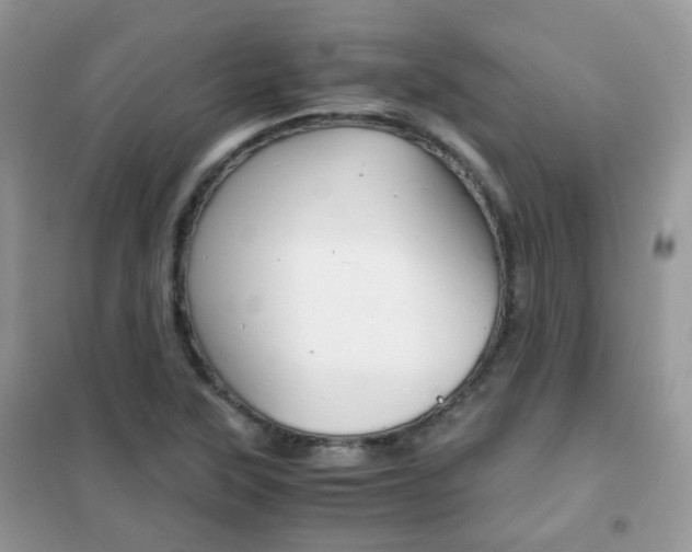 X0000102341315200808010903