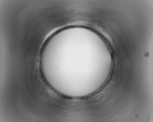 X0000102341316200808010903