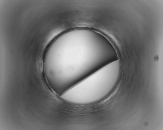 X0000102341317200808010903