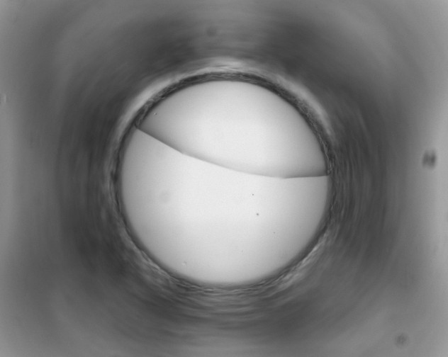 X0000102341318200808010903