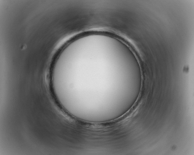 X0000102341319200808010903