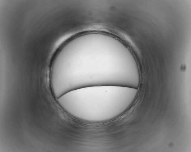 X0000102341320200808010903