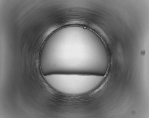 X0000102341321200808010903