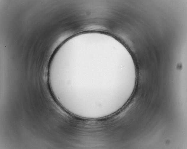 X0000102341322200808010903