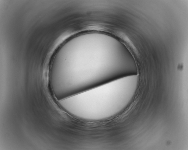 X0000102341323200808010903