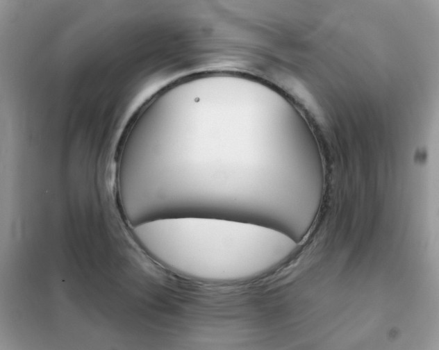 X0000102341324200808010903