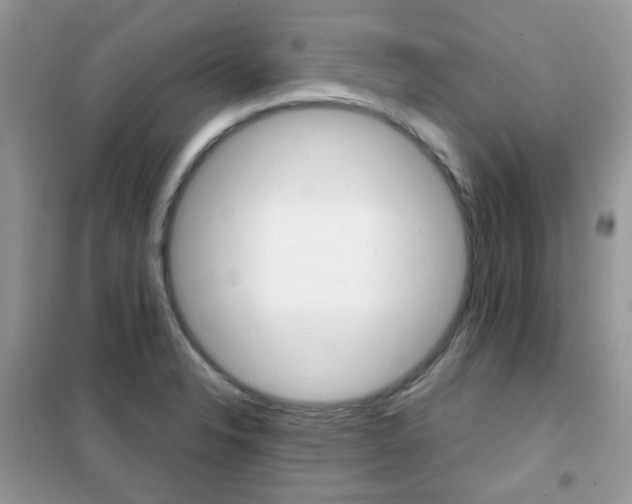 X0000102341326200808010903