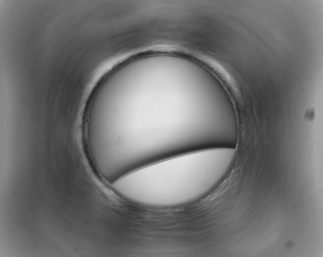 X0000102341327200808010903