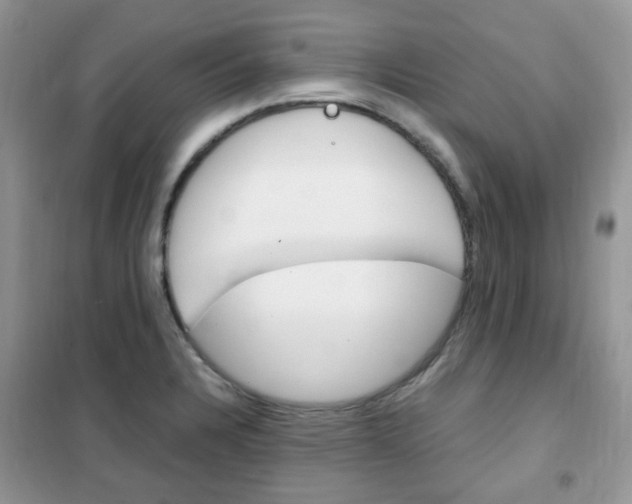 X0000102341328200808010903