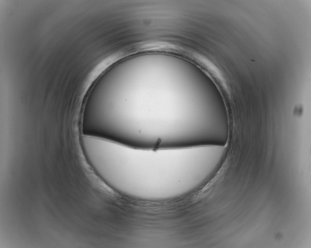 X0000102341330200808010903