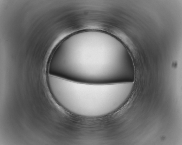 X0000102341331200808010903