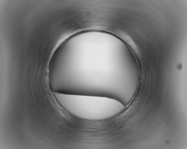 X0000102341332200808010903