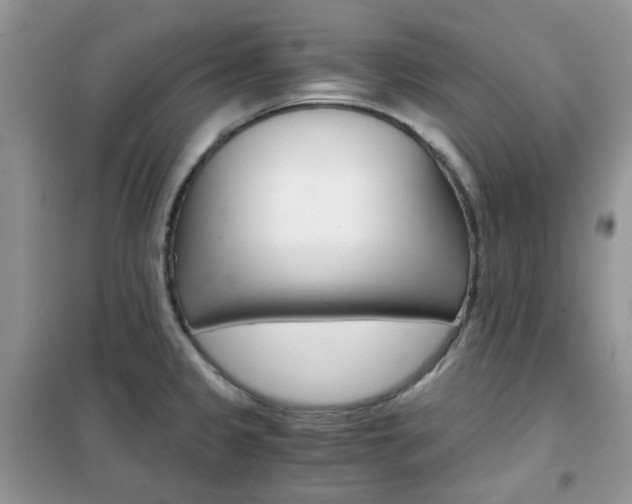 X0000102341333200808010903