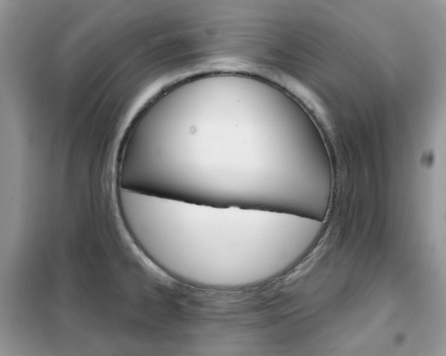X0000102341334200808010903