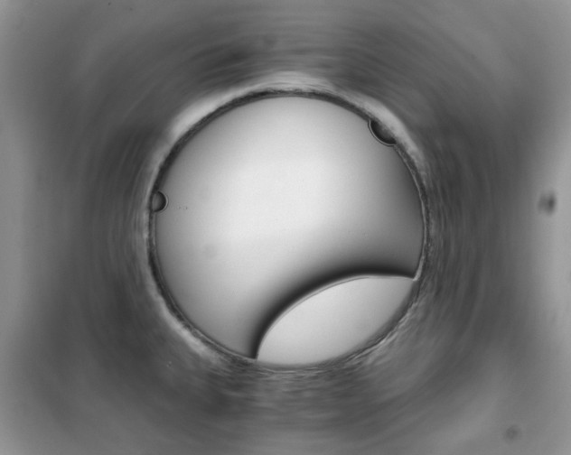 X0000102341335200808010904
