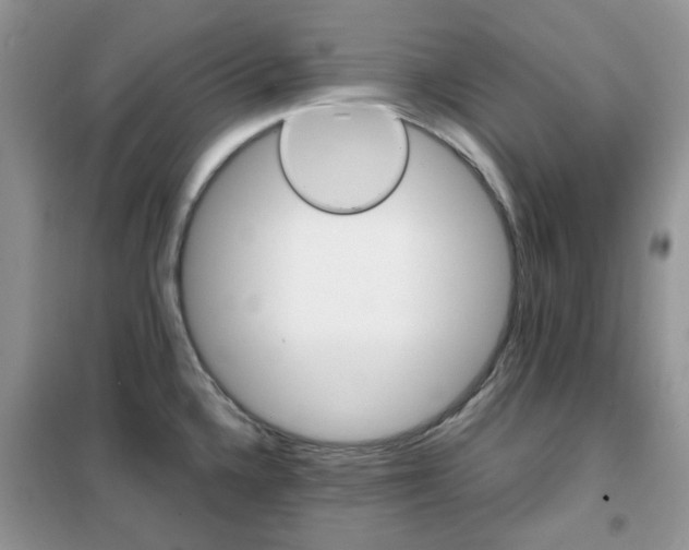 X0000102341336200808010904