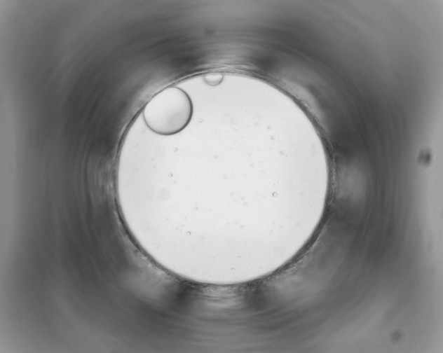 X0000102341338200808010904