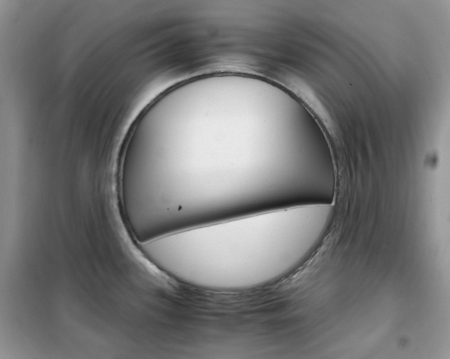X0000102341339200808010904