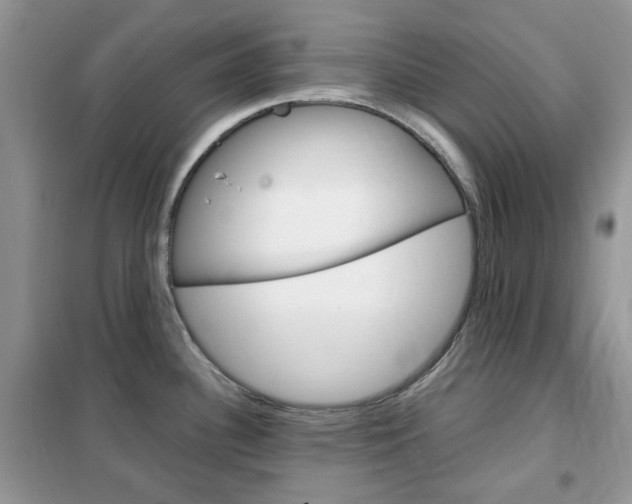 X0000102341340200808010904