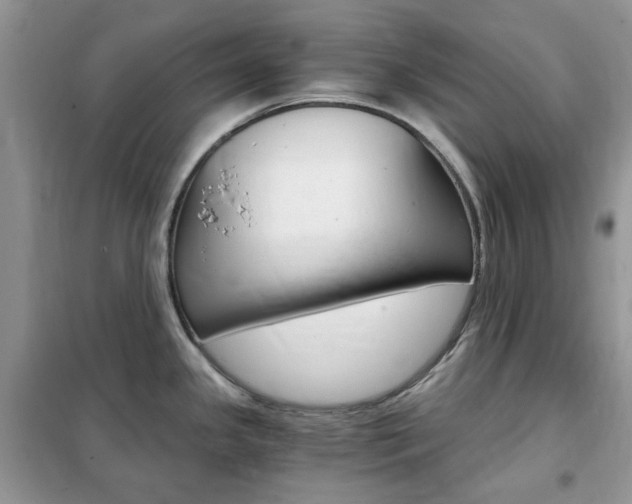X0000102341341200808010904