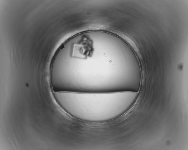 X0000102341342200808010904
