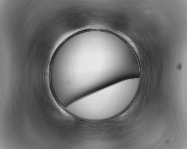 X0000102341343200808010904
