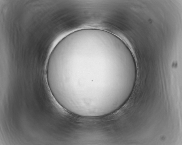 X0000102341344200808010904