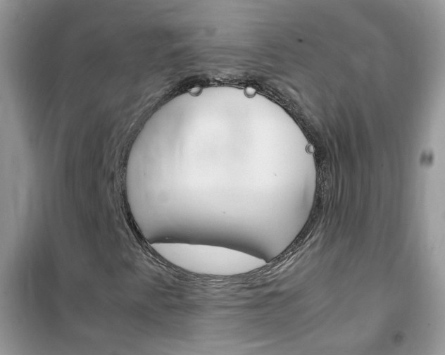 X0000102341345200808010903