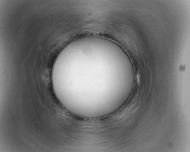 X0000102341347200808010903