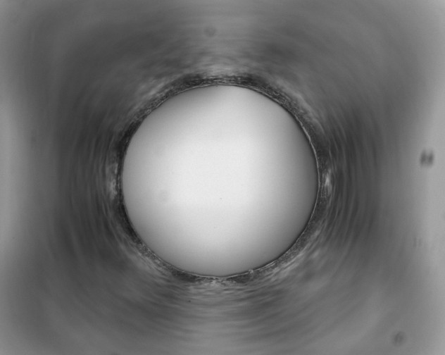X0000102341348200808010903