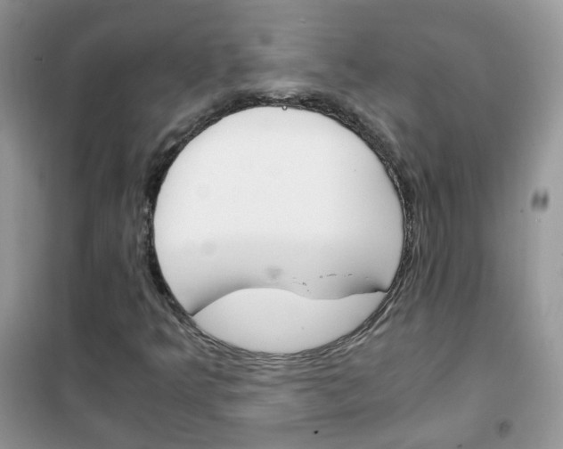 X0000102341349200808010903