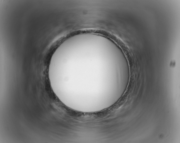 X0000102341351200808010903