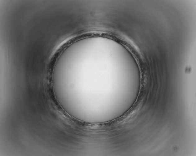 X0000102341352200808010903